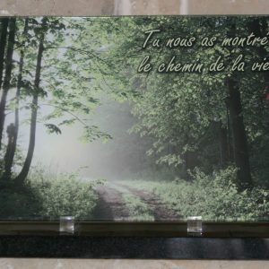 Plaque altuglass forêt