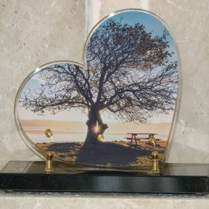 Plaque altuglass cœur paysage