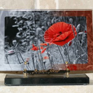 Plaque altuglass coquelicot
