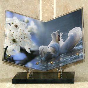 Plaque altuglass cygnes