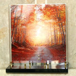 Plaque altuglass cœur forêt