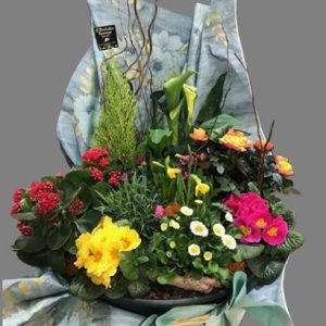 Coupe de plante "Horizon"